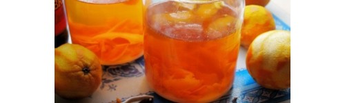 Infusi