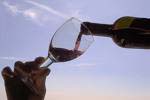 Vino Campano di qualità