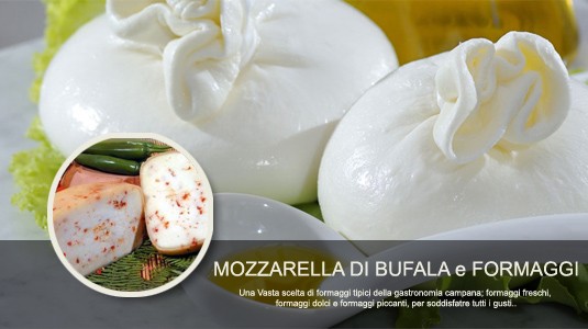 Mozzarella e Formaggi